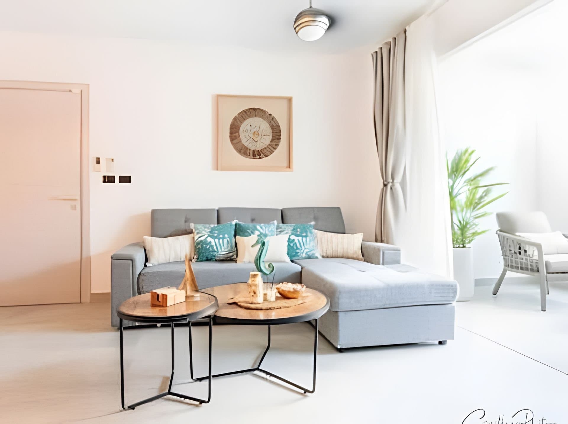 Estrella Dominicus N202 by Advantage club — 2