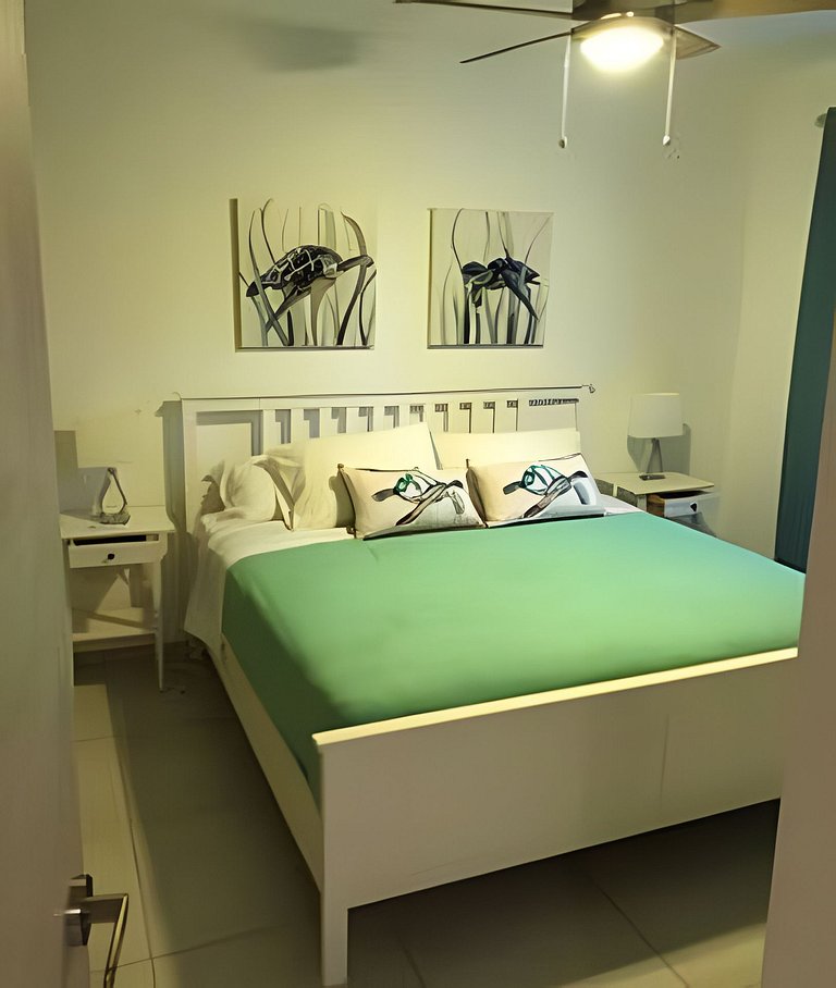 Muy bello apartamento con wifi (Talitha 102 )