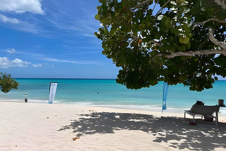 Gorgeous Penthouse Estrella Dominicus M302
