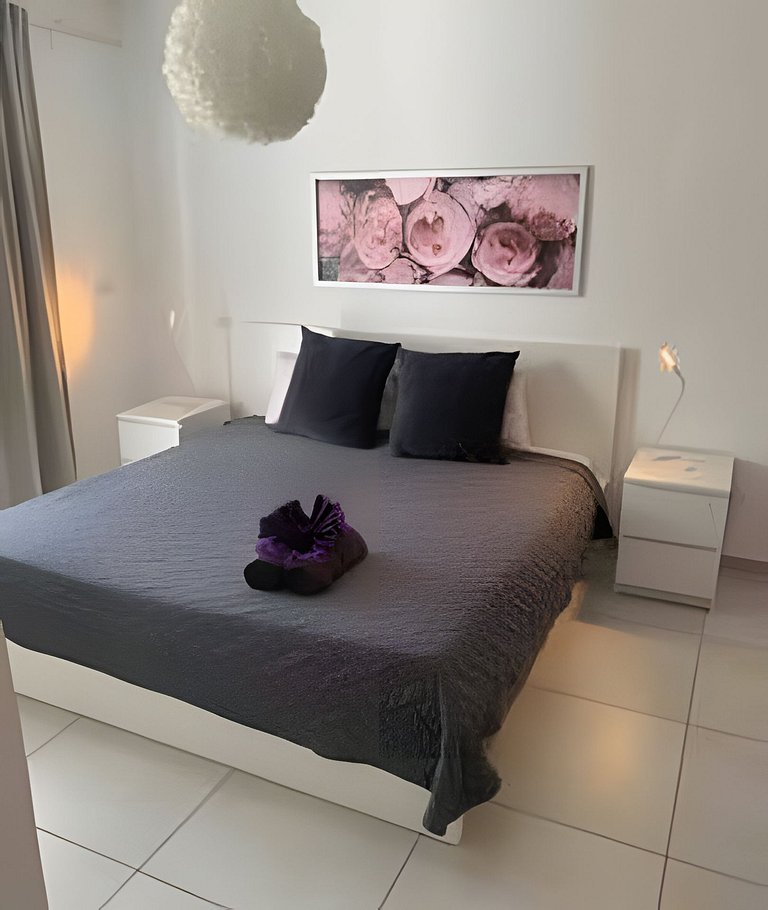 Estrella Dominicus Advantage Talitha 203