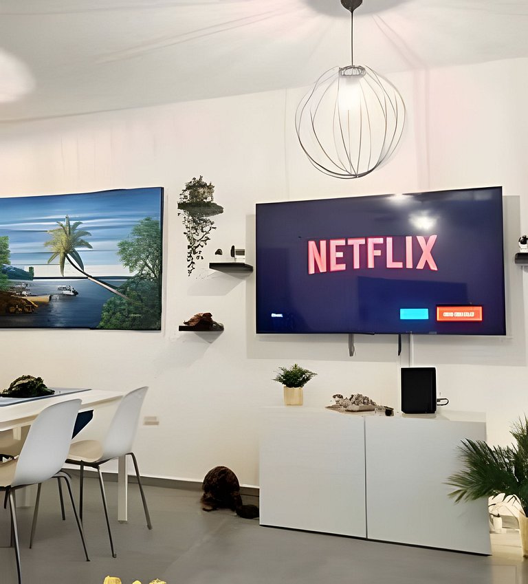 Alula 103 con netflix , Disney+ y wifi.