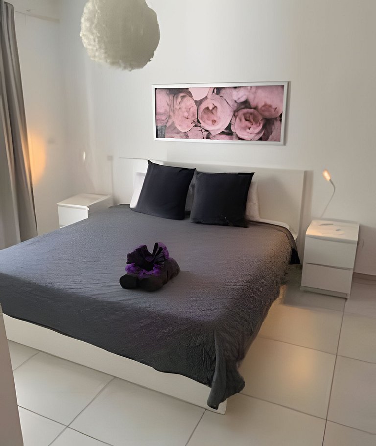 Estrella Dominicus Advantage Talitha 203