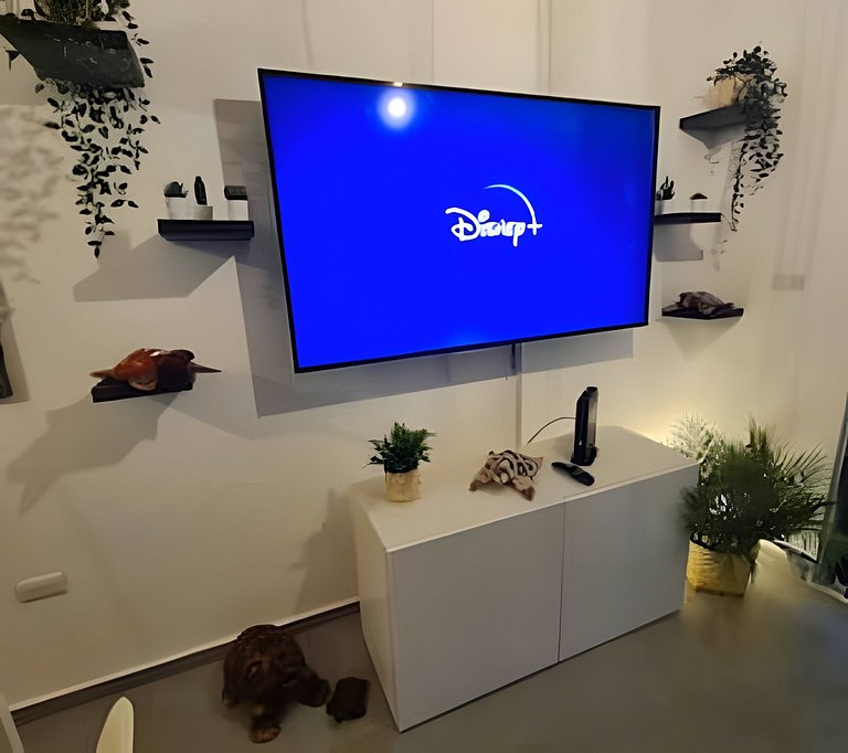 Alula 103 con netflix , Disney+ y wifi.