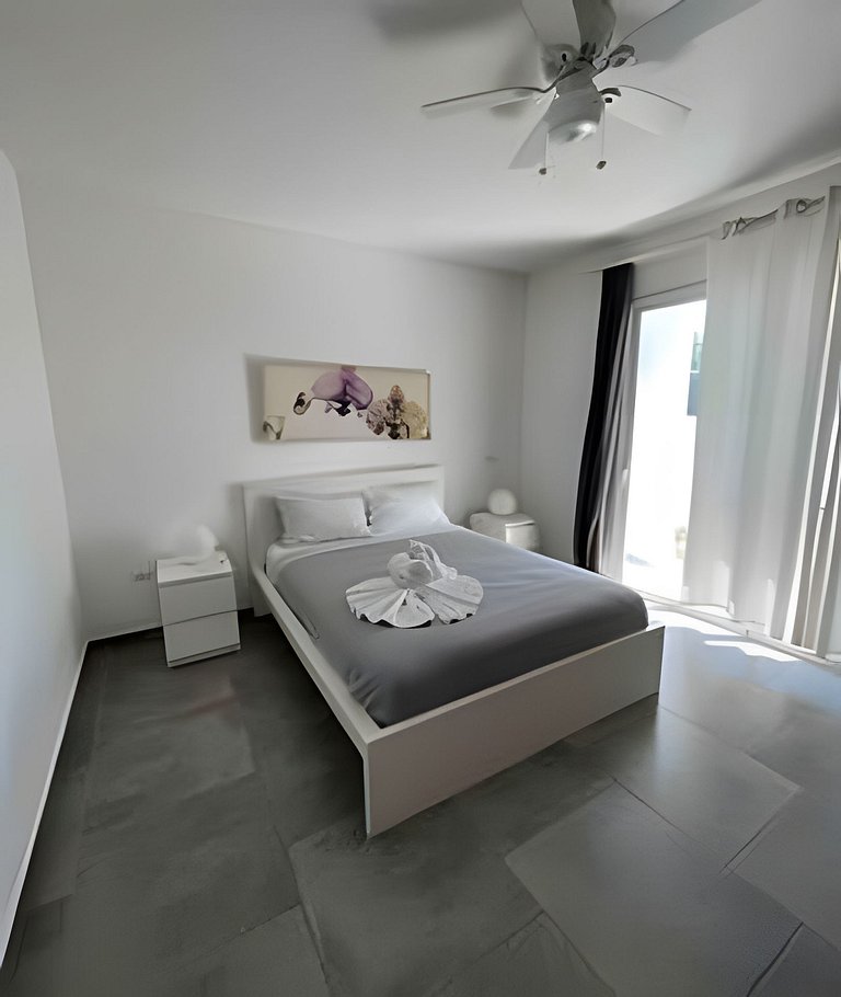 Estrella Dominicus Advantage Nascira 104