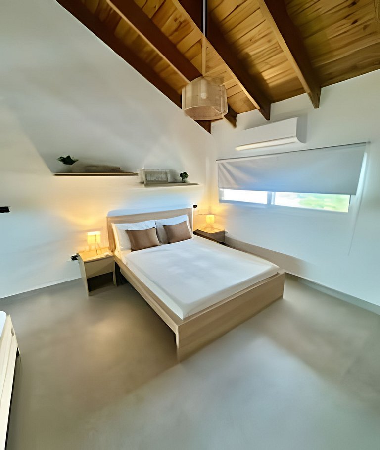Estrella Dominicus A302 by Advantage Club