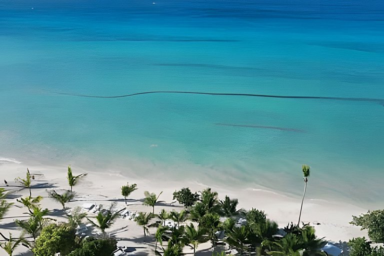 Aqua Esmeralda D104 by Advantage Club