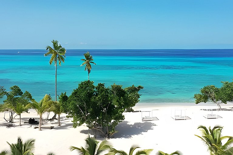 Aqua Esmeralda t203 by Advantage club.