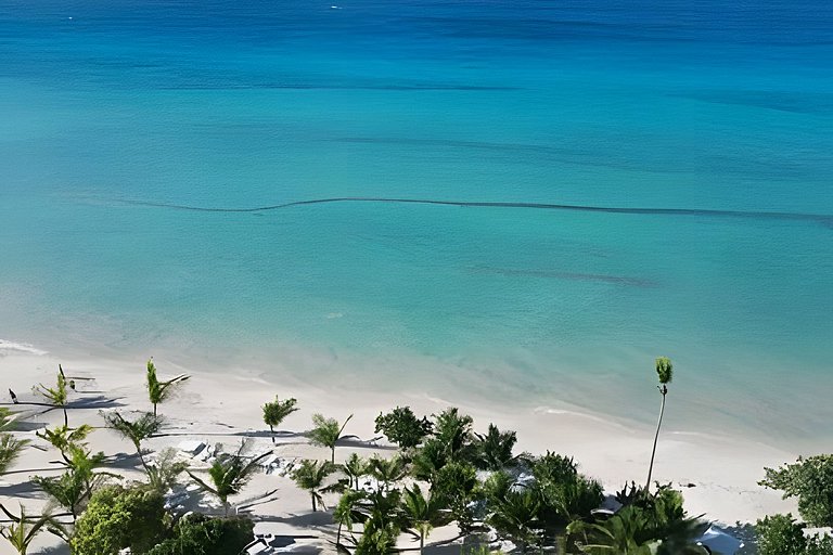 Aqua Esmeralda t203 by Advantage club.